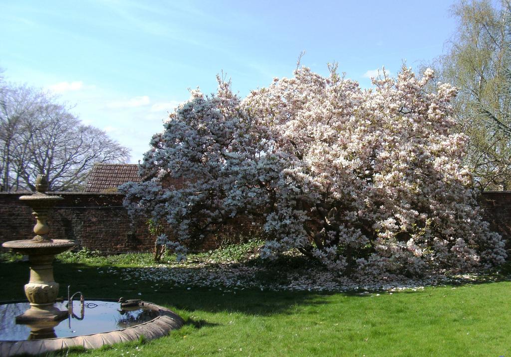 Hilbury Court Hotel Trowbridge Luaran gambar